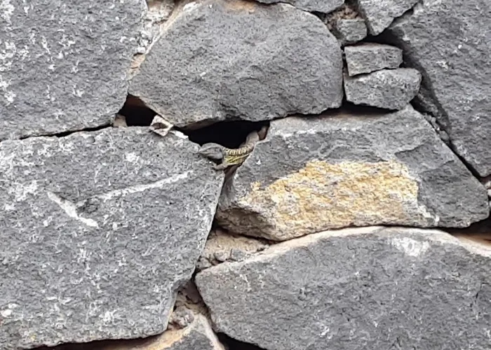 Dom wakacyjny Rubyai *