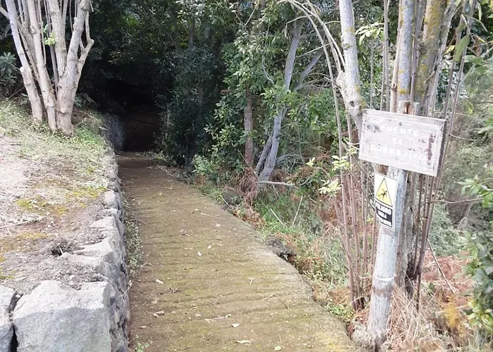 Nyaraló Rubyai Icod el Alto